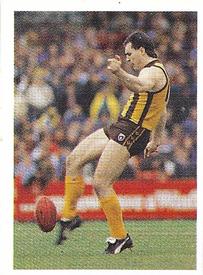 1991 Select AFL Stickers #141 Jason Dunstall Front
